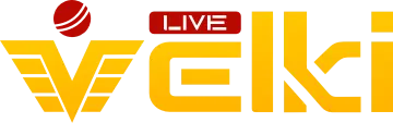 Velki Site Logo