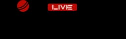 Site Header Logo